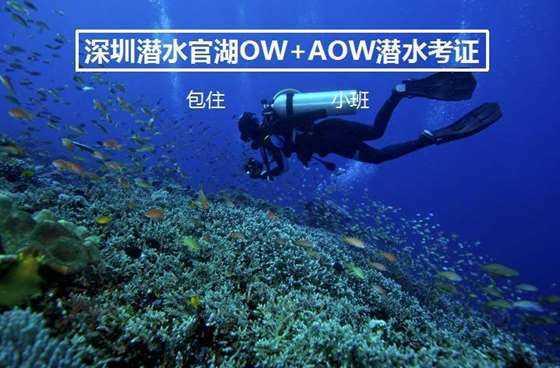 妙鸭相机app下载官网